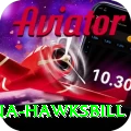 antigua hawksbill Gold Pro v3.1.2