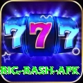 bbl big bash apk Ultimate Pro v1.6.2