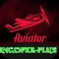 bingopkr Plus Edition v5.7.3