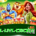 bpl live cricket Apps (Tools & Injectors) VIP v4.3.0