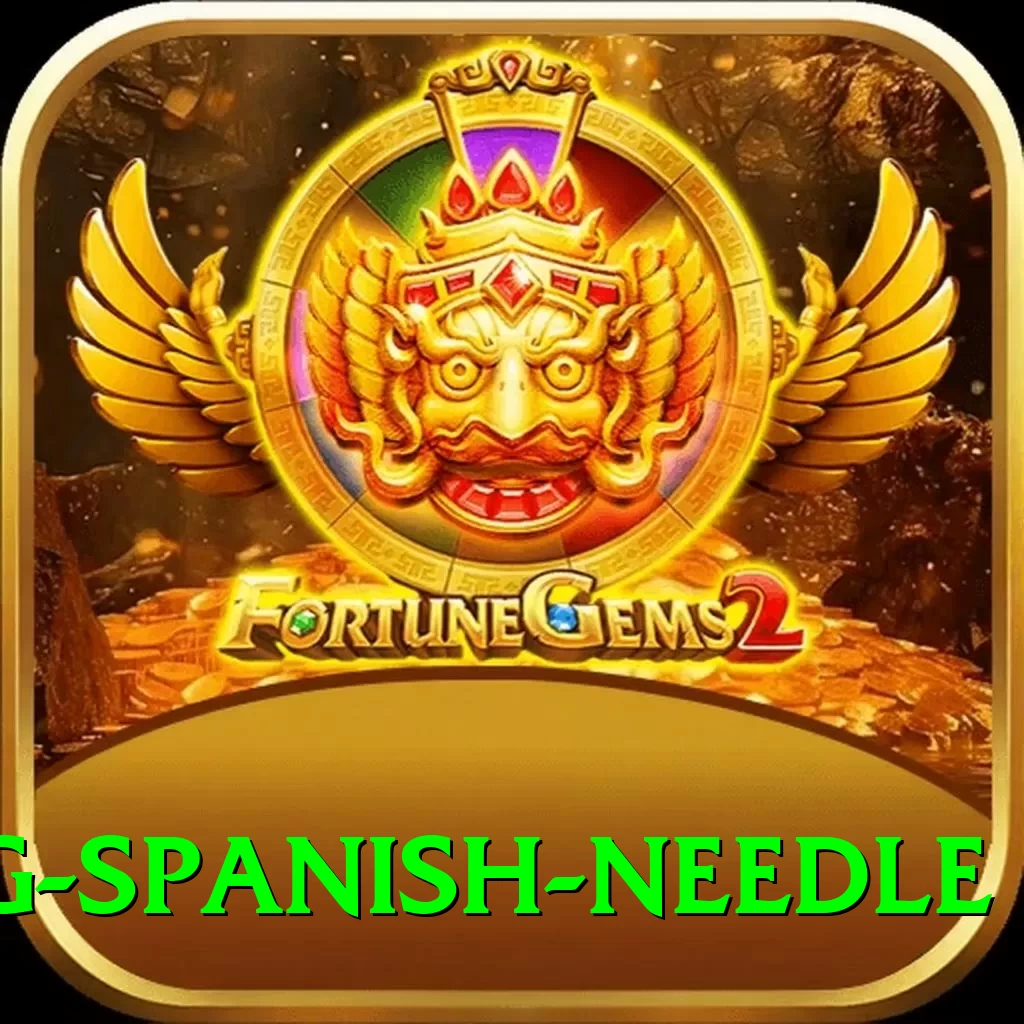 canyoning spanish needle VIP Edition v2.0.3 - 2