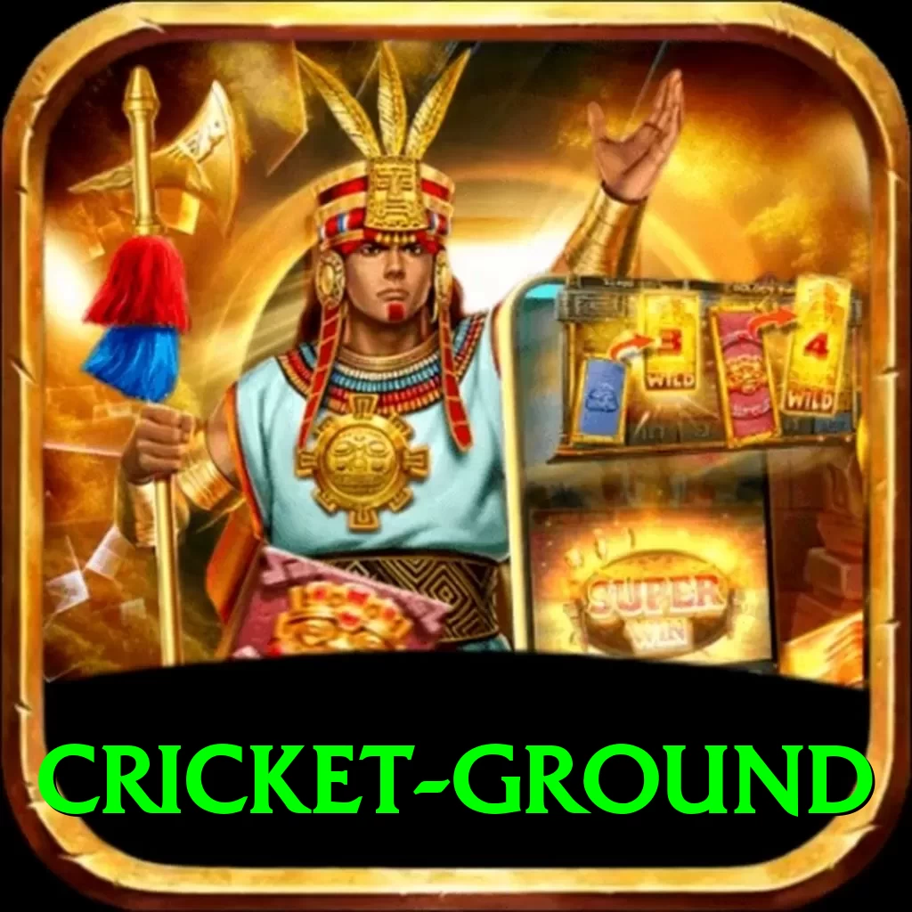 cricket ground Plus - 2