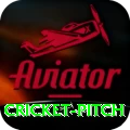 cricket pitch Max Pro v4.0.8