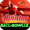 economy rate bowler Plus v5.1.9