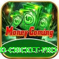 england cricket Casino Elite v4.0.2