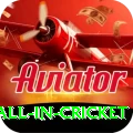 fastest ball in cricket Deluxe v3.8.8