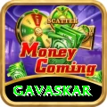 gavaskar Premium v2.8.5