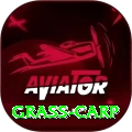 grass carp Apps (Tools & Injectors) Ultimate v2.5.8