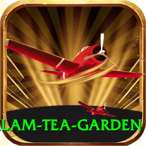 hile ilam tea garden Plus v4.5.7 - 2