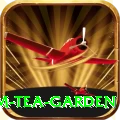 hile ilam tea garden Plus v4.5.7