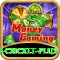 india bangladesh cricket Money Max v1.9.2