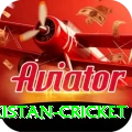 india pakistan cricket Max v3.0.5