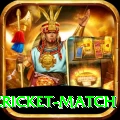 india pakistan cricket match Turbo Pro v1.5.8