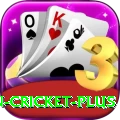 india pakistan cricket Deluxe PK v2.4.7