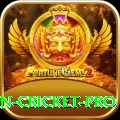 india pakistan cricket Bonus VIP v1.4.8