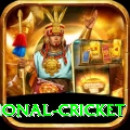 international cricket VIP v4.9.3