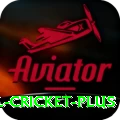 international cricket - Royal Edition v2.6.4