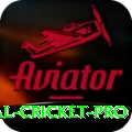 international cricket Royal Latest v3.0.3