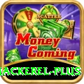 king mackerel Super v2.6.8