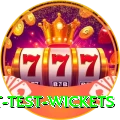 most test wickets Pro v3.8.9