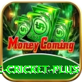 online cricket - King v2.8.9