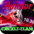 pakistan women cricket team Games (Casino & Earning) Max v2.5.2