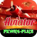 pkwin Master v5.0.8