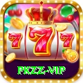 pkzz Plus v4.6.7