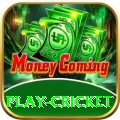 play cricket Apps (Tools & Injectors) Plus v3.5.9