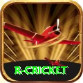 r cricket Pro v2.4.0