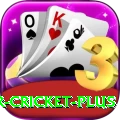 r cricket Legend APK v4.5.9