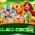 risk free bet cricket Plus Pro v4.3.4