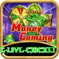 smartcric live cricket Games (Casino & Earning) Turbo v1.5.2