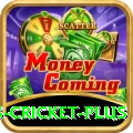 sports cricket Casino Gold v1.6.7