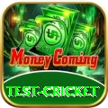 test cricket VIP v3.5.0