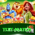 test match Deluxe Edition v4.1.9
