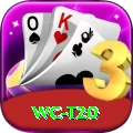 wc t20 Deluxe Edition v5.7.8
