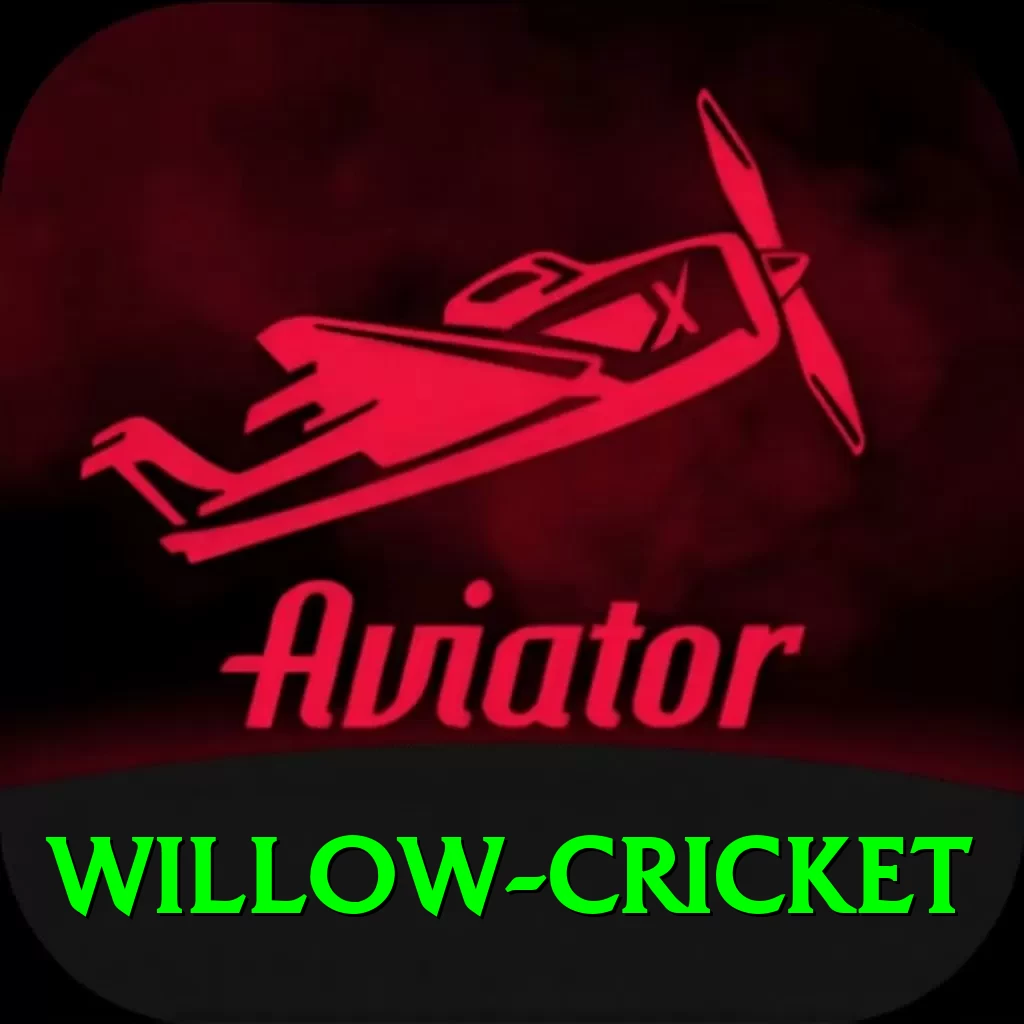willow cricket Deluxe v2.3.6 - 2